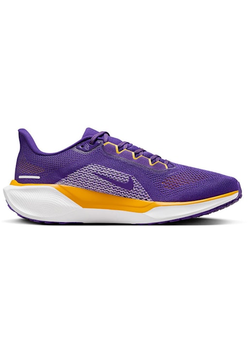 Minnesota Vikings PURPLE Nike Zoom Pegasus 41 Mens Shoes 12520438