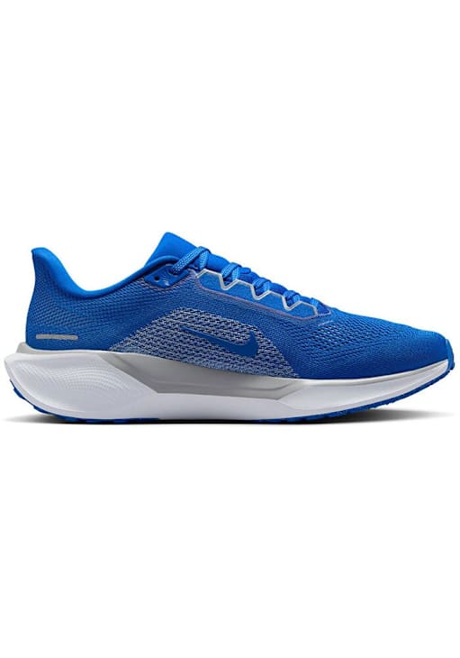 Kentucky Wildcats BLUE Nike Zoom Pegasus 41 Mens Shoes