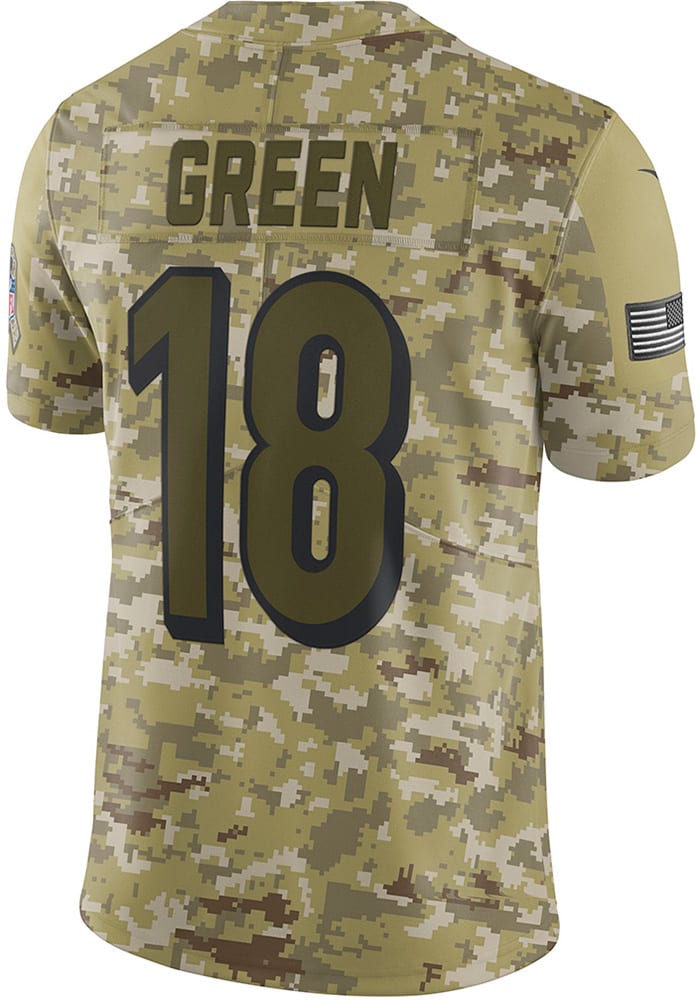salute to service bengals jersey