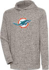 Main image for Antigua Miami Dolphins Mens Oatmeal Chenille Logo Absolute Long Sleeve Hoodie