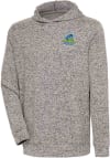 Main image for Antigua Delaware Fightin' Blue Hens Mens Oatmeal Absolute Long Sleeve Hoodie