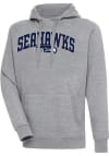 Main image for Antigua Seattle Seahawks Mens Grey Chenille Logo Victory Long Sleeve Hoodie