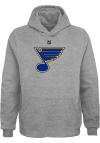 Main image for St Louis Blues Youth Grey Primary Logo Long Sleeve Hoodie