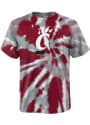 Cincinnati Bearcats Youth Tie Dye Primary Logo T-Shirt - Red