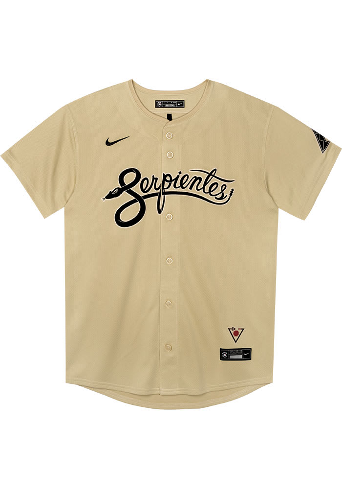 nike mexico baseball jersey