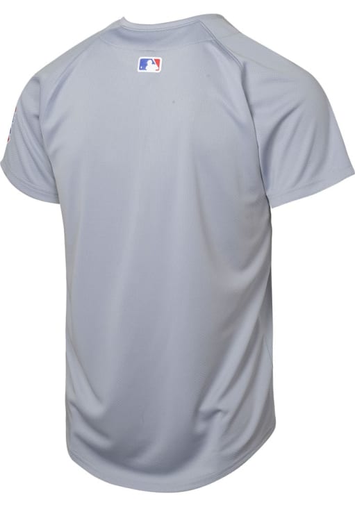 Nike Chicago Cubs Youth Grey Limited Road Blank Jersey