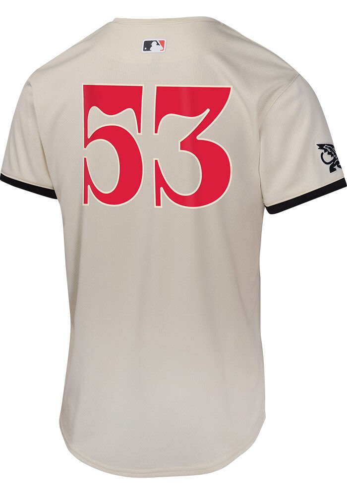 BABYL GAME JERSEY XLアジアツアー版 Adolis Garcia 2023 Powder Blue Game-Used Jersey: Hit Walk-Off Home