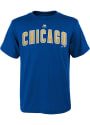 Chicago Cubs Youth Blue Wordmark T-Shirt