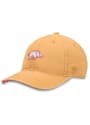 Arkansas Razorbacks Bragh Adjustable Hat - Brown
