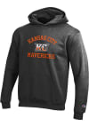 Main image for Champion Kansas City Mavericks Youth Grey Arched Wordmark Long Sleeve Hoodie