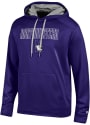 Northwestern Wildcats Champion Athletic Fleece Hood - Purple