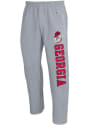 Georgia Bulldogs Champion Powerblend Open Bottom Sweatpants - Grey