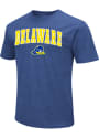 Delaware Fightin' Blue Hens Colosseum Playbook T Shirt - Blue