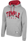 Main image for Colosseum Temple Owls Mens Grey Ill Be Back Long Sleeve Hoodie