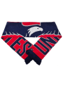 Eagle USA Soccer Scarf - Red