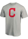 Cleveland Indians Team Logo T Shirt - Charcoal