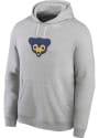 Chicago Cubs Nike Coop Patch Hooded Sweatshirt - Grey