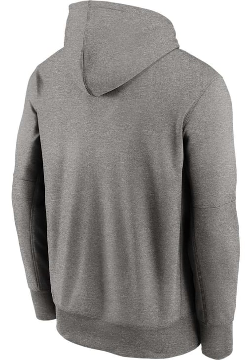Nike Ohio State Buckeyes Mens Grey Primary Logo Therma Hood
