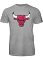 Chicago Bulls PRIMARY Fashion T Shirt - Grey