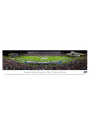Georgia Southern Eagles Football Panorama Unframed Poster