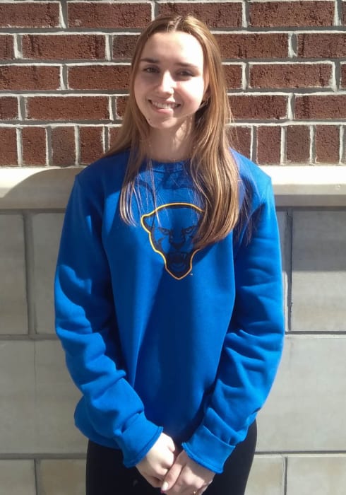 pitt panthers nike sweatshirt