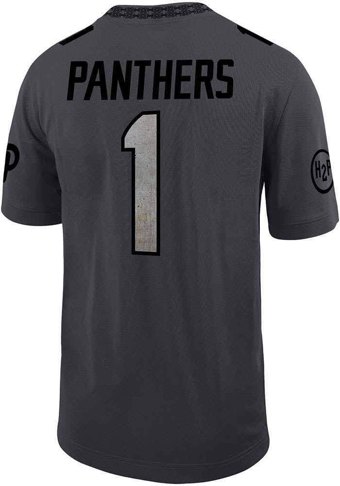 Panthers grey jersey hotsell