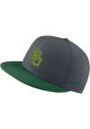 Main image for Nike Baylor Bears Mens Grey Aero True On-Field Baseball Fitted Hat