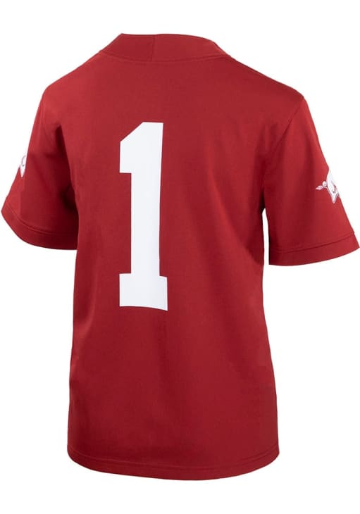 Nike Arkansas Razorbacks Youth Red Sideline Replica Football Jersey