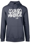 Main image for Levelwear Colorado Avalanche Mens Navy Blue Podium Long Sleeve Hoodie