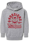 Main image for Toddler Indiana Hoosiers Grey Summit Sportswear 2025 College Football National Champions Vintage B..