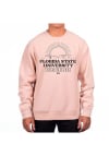 Main image for Uscape Florida State Seminoles Mens Pink Heavyweight Long Sleeve Crew Sweatshirt
