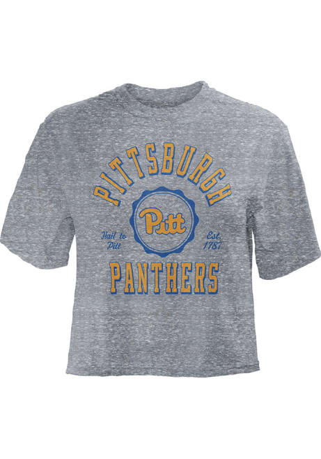 Pitt Panthers Grey Pressbox Bishop Crop Crew Neck Short Sleeve T-Shirt