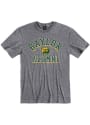 Baylor Bears Alumni Fashion T Shirt - Grey