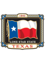 Texas Colored Flag Magnet