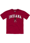 Main image for Youth Crimson Indiana Hoosiers Bison Short Sleeve T-Shirt
