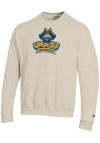 Main image for Champion University of Massachusetts Dartmouth Mens Brown Powerblend Long Sleeve Crew Sweatshirt