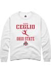 Main image for Reagan Ceglio  Rally Ohio State Buckeyes Mens White NIL Sport Icon Long Sleeve Crew Sweatshirt