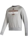 Main image for Adidas Western Michigan Broncos Mens Grey Flat Name Fleece Long Sleeve Crew Sweatshirt