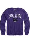 Main image for Central Arkansas Bears Mens Purple Arch Mascot Long Sleeve Crew Sweatshirt