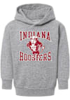 Main image for Toddler Indiana Hoosiers Grey Summit Sportswear Vintage Mascot Long Sleeve Hooded Sweatshirt