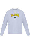 Main image for Mens  Michigan Wolverines Steady State Crew Crew Sweatshrt
