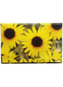 Kansas Sunflower Magnet