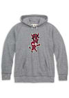 Main image for Mens Indiana Hoosiers Grey Rally Triblend Vintage Logo Long Sleeve Fashion Hood