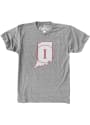 Indiana Hoosiers State Fashion T Shirt - Grey