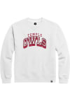 Main image for Temple Owls Mens White Nanodrop Arch Mascot Long Sleeve Crew Sweatshirt