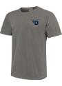 Dayton Flyers Comfort Colors T Shirt - Grey