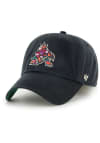 Main image for 47 Arizona Coyotes Mens Black Franchise Fitted Hat