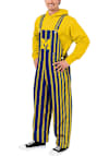 Main image for Mens Michigan Wolverines Blue Forever Collectibles Spirit Pants