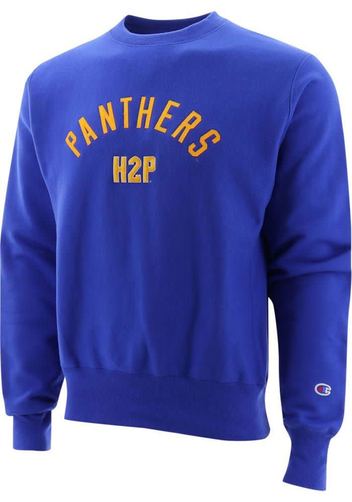 Pitt champion sweatshirt online