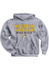 Main image for Youth Grey Western Michigan Broncos Bold Straight Logo Long Sleeve Hooded Sweatshirt